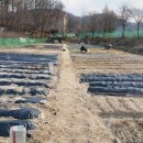 갑천농장 이미지