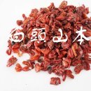 신기환 카카오 검색결과