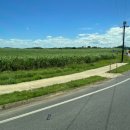 민식농장 이미지