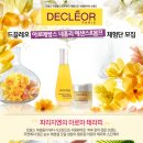 드끌레오 - 남구 | 드끌레오