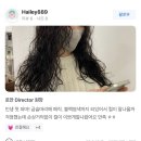 홍대어울림약국 | [공지] 입소문난 히피펌전문점 상수역미용실 발렌헤어