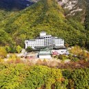 스타호텔 이미지