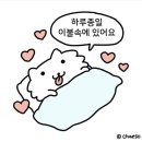 하이브(HIVE) 호텔 네이버블로그
