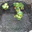 장수한약국 이미지