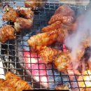 달주