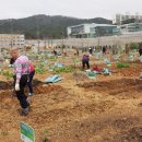 이종식농장 이미지