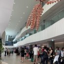 2026케이펫페어 마곡코엑스 애완용품박람회 마곡전시회후기