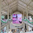 쥬라기카페 | 김포 48개월 아이와 가볼만한 곳 수산공원 카페 "몬스터리움·쥬라기파크" 무료 이용권 이벤트 후기