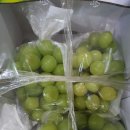 중앙무도장 이미지