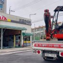 미르카센타 이미지