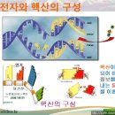 당뇨병에 좋은 핵산이 풍부한 음식 이미지