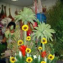 성전2호 이미지