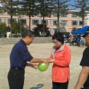 홍천초등학교 이미지