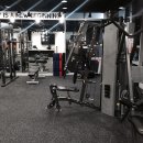 소나무 휘트니스 이미지