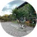 월영사계 이미지