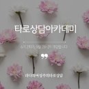 [타로상담아카데미]6기2학기 개강, 9월 28~29일_타로를 활용한 심리영적 성장과 마음공부 이미지