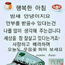 행복한 아침 이미지