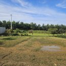 쌍룡초등학교병설유치원 이미지