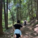 백양산막걸리 이미지