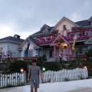 풍차랑 허브랑 이미지