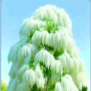 國民의힘 地方選擧에서 勝利하려면 장동혁 대표와 나경원, 생각을 바꿔야 한다! 이미지