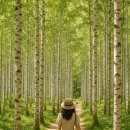 명제풍농장 | 🌿 아는 사람만 아는, 나만 알고 싶은 국내 여행지 3곳