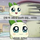 애개애개 이미지