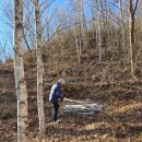 방주 농원 펜션 이미지