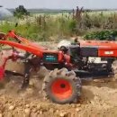 성모농장 이미지