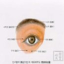 한국사회체육진흥회