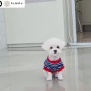 루앤오 이미지