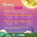 소소하영