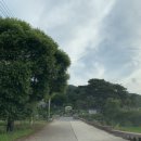 라성관광농원 이미지