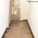 살롱드퍼피 이미지