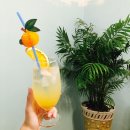 마카롱키친