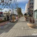 포스코대로 이미지