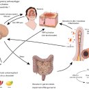 세상의반여성의원 | 주사피부염(rosacea)·접촉피부염, 피부과 치료해도 재발하는 진짜 이유｜완치를 결정짓는 치료 기준 후기