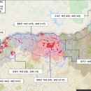 아프리카 이미지