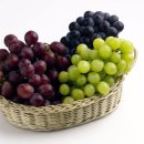 “포도는 염증 잡는 과일”… 특히 ‘이 색깔’이 좋다는데? 이미지
