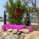 교동 연꽃마을 펜션 이미지