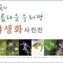 충원고등학교 이미지