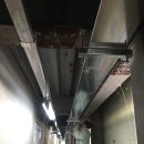 장수양돈 이미지