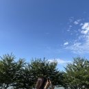 엘로우잔디