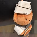 해달나무요가연수원 | 일상 :: (7) 지나고보니 좋은 느낌을 줌 📁