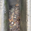 인천종합건설본부 | 인천준설업체 마실종합건설 이용후기입니다!!