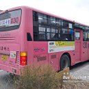 별내농협 하나로마트청학점 | [남양주시] 대원운수 땡큐30번 (사릉↔청학리) 노선안내도