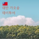 타이어월드 화산점 | [여행] 클룩(Klook)대만 가오슝 데이투어(달세계 공원, 불광사, 보얼예술특구)