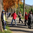 나주 '산림연구소 수목원'[24. 11. 24] 이미지