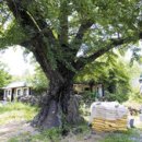 한음마을 이미지