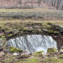 보만정지 이미지